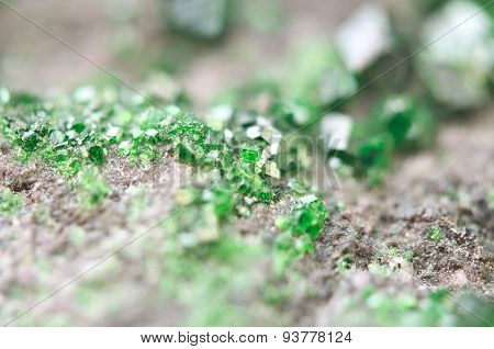 Uvarovite Is A Chromium-bearing Garnet. Macro.