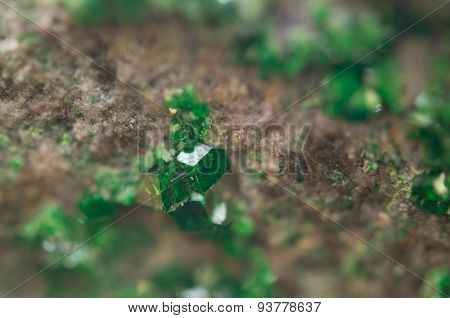 Uvarovite Is A Chromium-bearing Garnet. Macro.