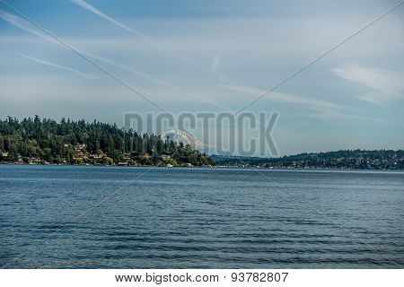 View Of Mount Rainier From Seward Park