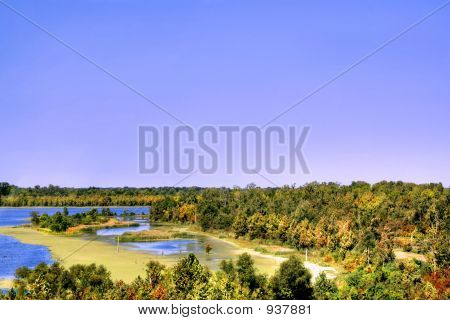 Fiume bayou della Louisiana
