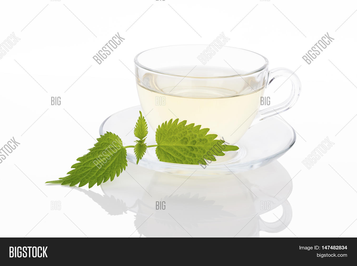 Stinging Nettle Tea. Image & Photo (Free Trial) Bigstock