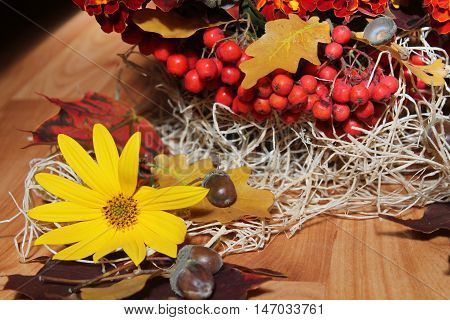 ripe big bright red color juicy rawberries and bloom yellow flower nice things for mood and decoration home in autumn time