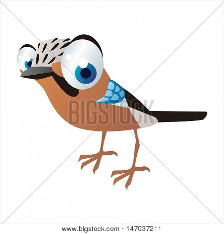 vector cool image of cartoon bright color animal. Funny cute birds. Jay