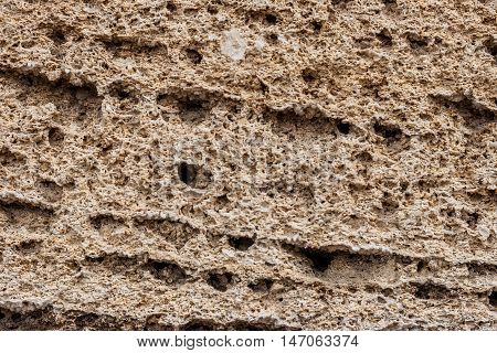 Background. The texture of limestone and lime close up. Formed by sedimentary rocks.