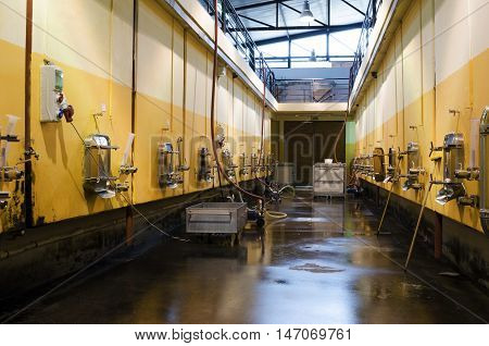Stainless steel fermentation vessels in Bulgarian winery