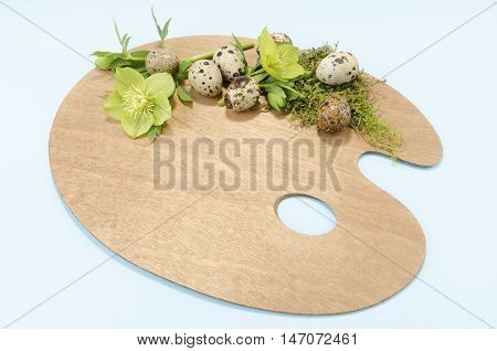 Easter palette decoration with seven boiled quail eggs plus hellebore on a blue background
