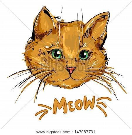 cat illustration, ginger cat illustration, cute cat sketch.