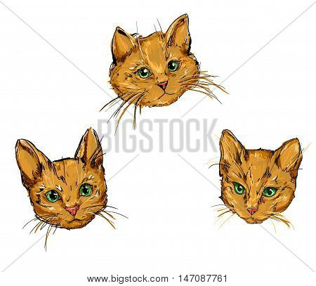 cat vector illustration, sketch cute cat set