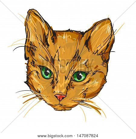 cat vector illustration, vector pet, sketch cute cat