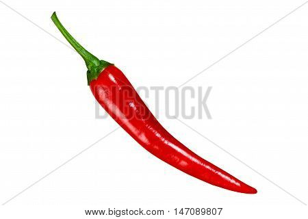 Red hot isolated chilli. Pepper on white background. Fresh spice vegetable food. Chili pepperoni with capsacin.