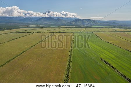 Fields of the Yelizovsky District in Kamchatka Peninsula. View from helicopter.