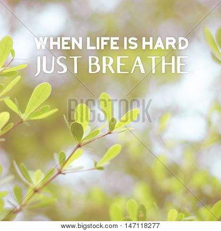 Inspiration Quote : 