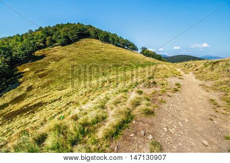 Path Through Mountain Landscape