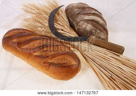 bunch of mown wheat ears with vintage handmade reaper hook sickle and rye and white dark french fresh bread loaf on light linen tablecloth