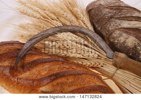 bunch of mown wheat ears with vintage handmade reaper hook sickle and rye and white dark french fresh bread loaf on light linen tablecloth