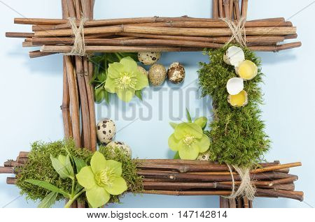 Easter frame with two raw and seven boiled quail eggs and one hellebore flower up
