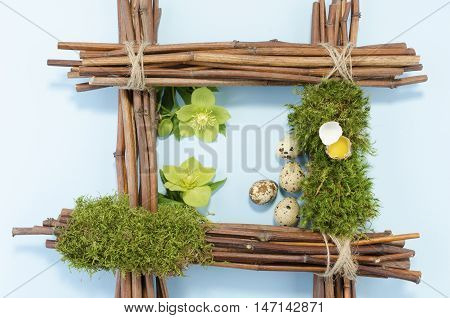 Eastre me with two hellebore flowers and four quail eggs