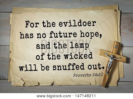TOP- 100. Bible Verses about Hope.For the evildoer has no future hope, and the lamp of the wicked will be snuffed out. 