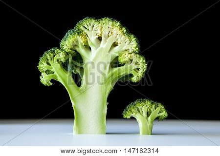 Cross section of broccoli on black bacground