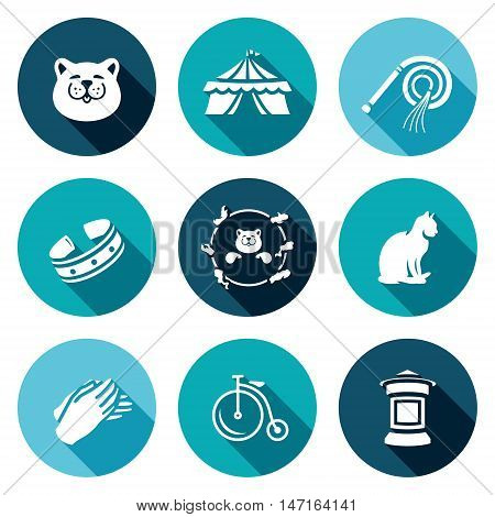 Cat, Circus, Training, Accessories View Jumping Animal Hands Transport Announcement