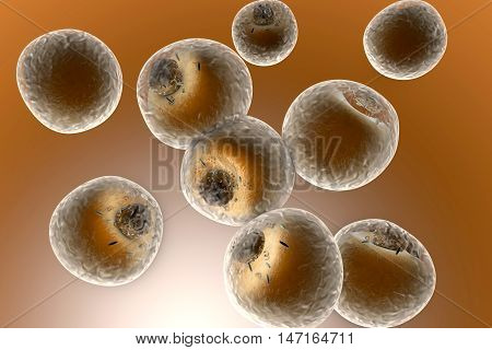 Fat cells in the human body. 3d rendered Illustration.