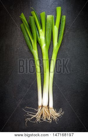 Young three onion on a grey slate