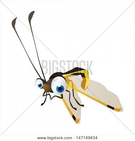 vector cartoon cute animals. Funny insects. Owlfly