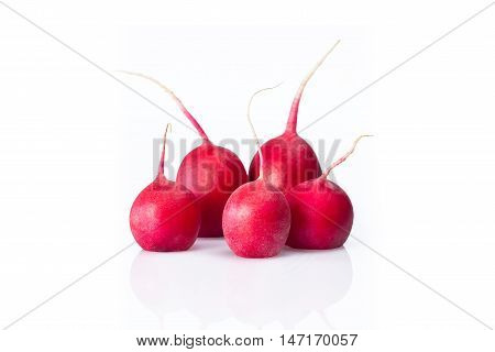 Five red radish on a white background