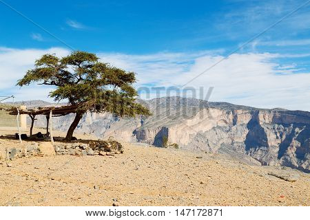 In Oman  The Old Mountain Gorge
