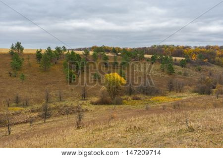 Autumnal hilly landscape in Sumskaya oblast Ukraine