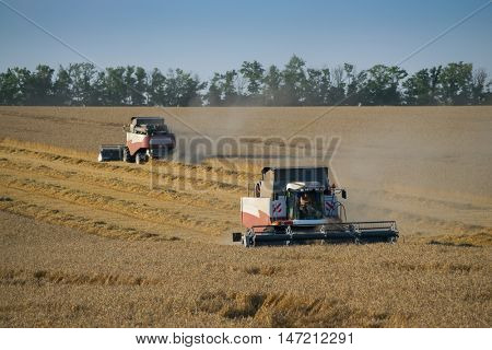 KRASNODAR REGION, RUSSIA - JUL 6, 2015: Two modern harvesters harvest field at evening, In 2015 in Krasnodar region yields reached record level - 58.4 centners per hectare