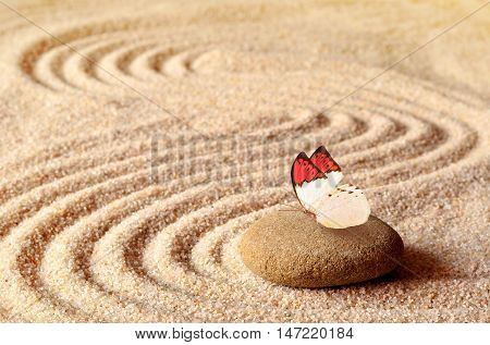 Butterfly on a zen stone with circle patterns in the yellow grain sand. Butterfly, stone and sand.