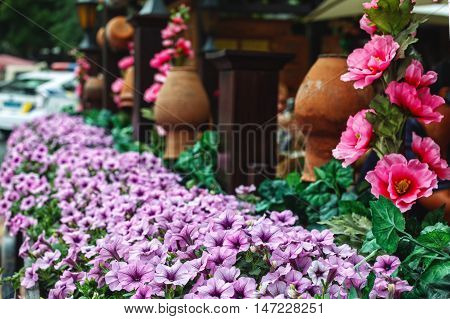 Wain with petunia flowers at the cafe on the street
