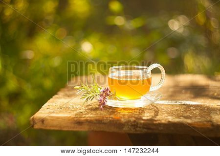 Green Tea In Beautiful Cup