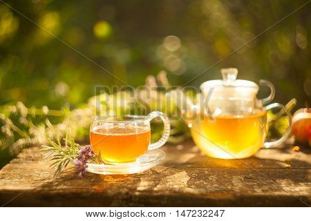 Green Tea In Beautiful Cup