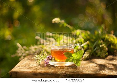 Green Tea In Beautiful Cup