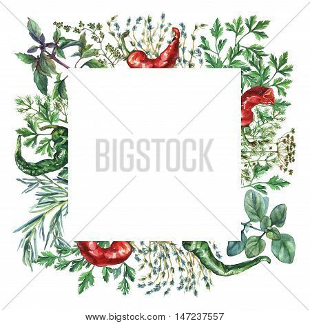 Watercolor herbs and spices frame. Square frame with hand painted food objects: basil, rosemary, parsley, oregano, thyme, dill, knot-grass, green and red pepper on white background.