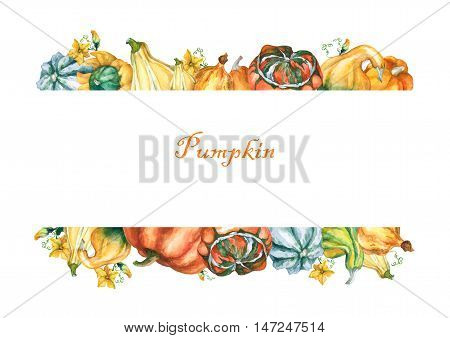Pumpkins. Template with decorative pumpkins watercolor painting on white background.
