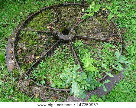 Antiquated iron wheel photographed at Colby Woodland Garden near Amroth in Pembrokeshire