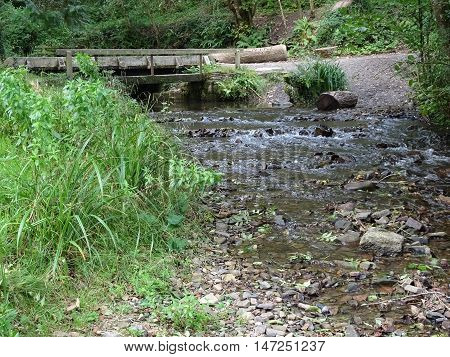 Bridge across river waterfall and forest landscape photographed at Colby Woodland Garden near Amroth in Pembrokeshire