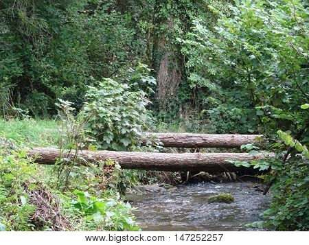 Log bridges across river and forest landscape photographed at Colby Woodland Garden near Amroth in Pembrokeshire