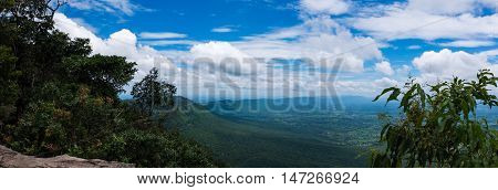 Panorama of colorful landscape the summer in the daytime. Fresh evergreen forest nature against beautiful blue sky and cloudy over tranquil nature. Outdoors.