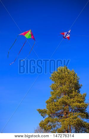 Two colorful kite in the blue sky above the tree