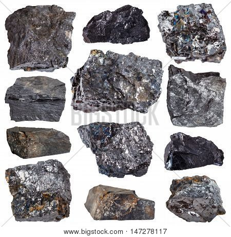 Collection From Specimens Of Various Coal Minerals