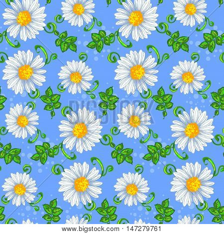 seamless pattern of daisies with green leaves on a blue background. Vector