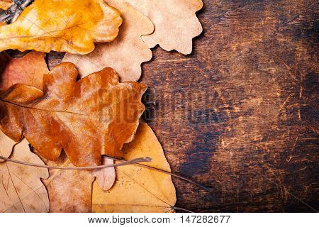 Yellow wet autumn leaves over wooden background with empty copy space for text. Abstract autumn backdrop