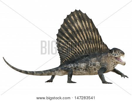 3D rendering of Dimetrodon on the move, isolated on white background.