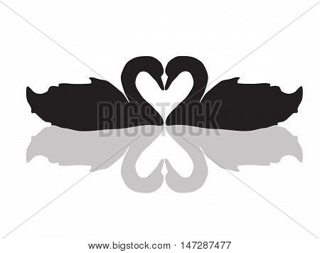 Two Swans in Love Creating a Heart Shape with Reflection
