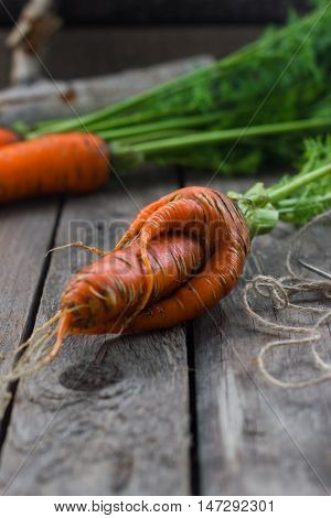 Healthy food concept orange carrots from the garden harvest