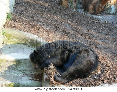 20070402 Zoo 0199
